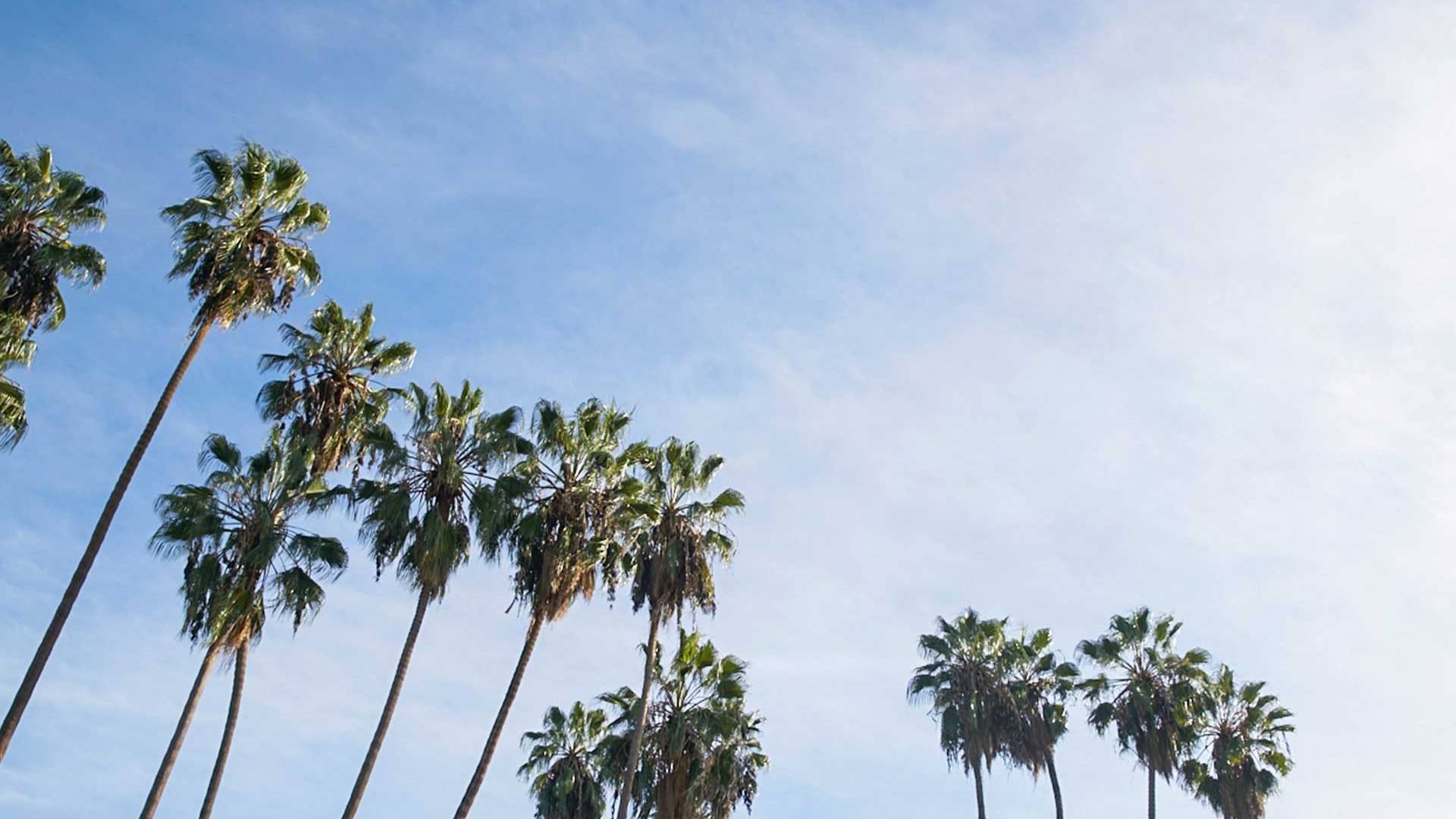 Discover the Best Views of the Hollywood Sign Discover Los Angeles
